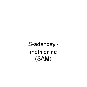S-adenosyl-methionine (SAM)